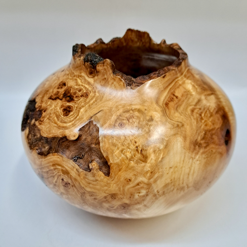 Click to view detail for JW-256 Colorado Aspen Burl Hollow Woodturning $300
